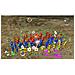 Pikmin (Wii) , Wii, Strategia, E (tutti)  - Foto miniatura 1